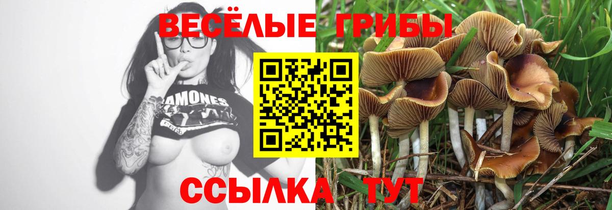 Псилоцибиновые грибы мухоморы  Вход с VPN  Котлас 