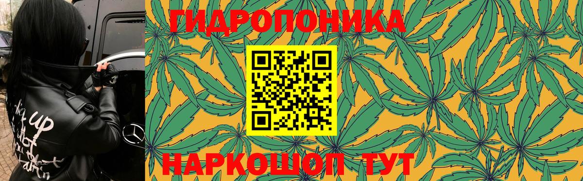 Канабис OG Kush  Вход с VPN  Канабис индика  Котлас  Бошки марихуана Bruce Banner 